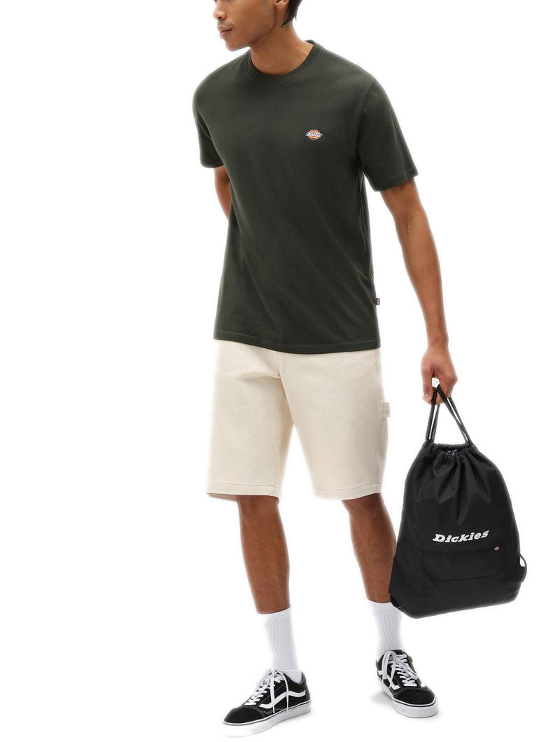 Tee-shirt Dickies MAPLETON