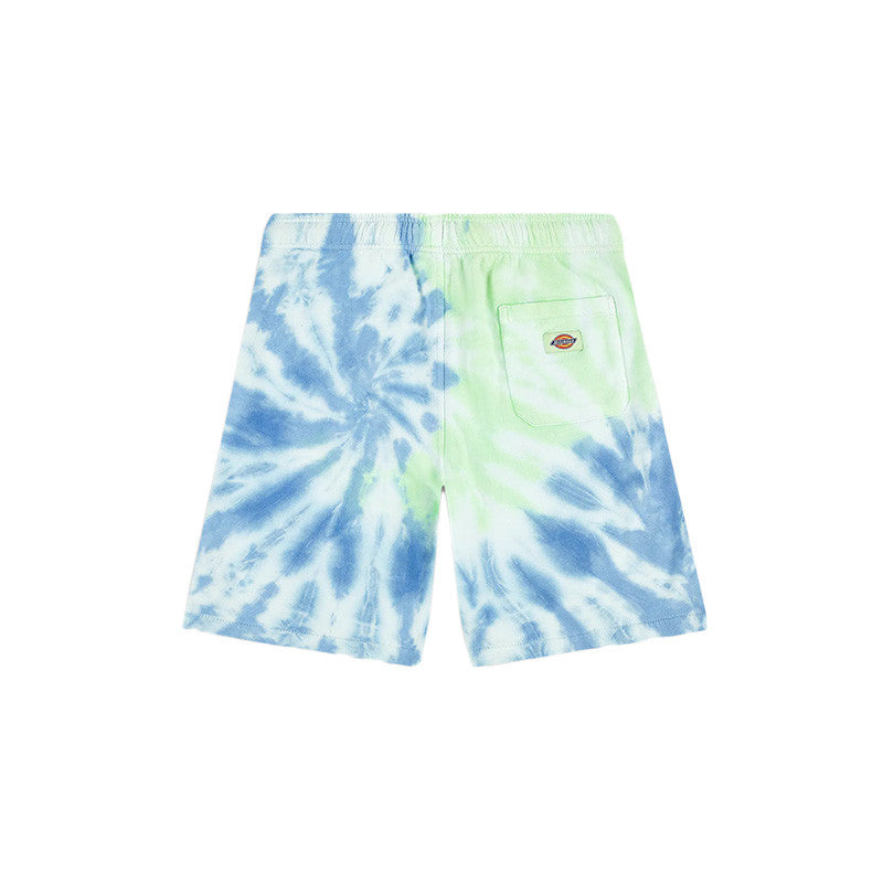 Short Dickies SEATAC CELADON