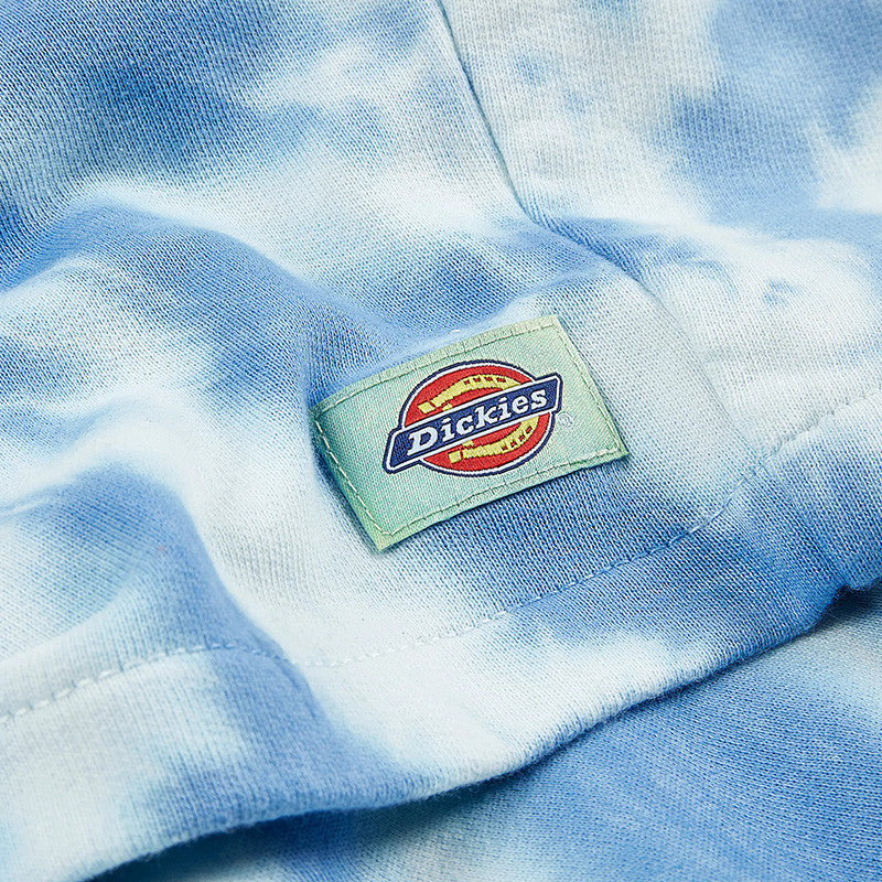 Short Dickies SEATAC CELADON