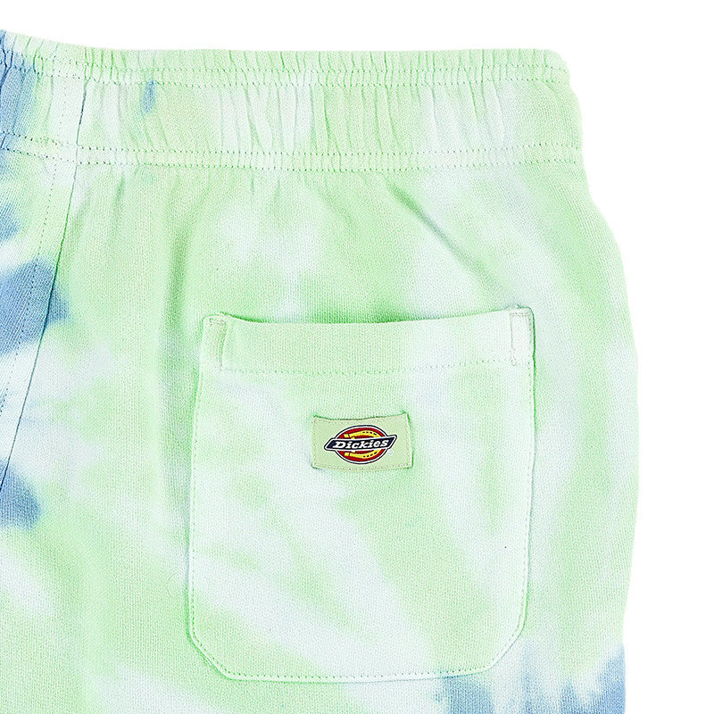 Short Dickies SEATAC CELADON