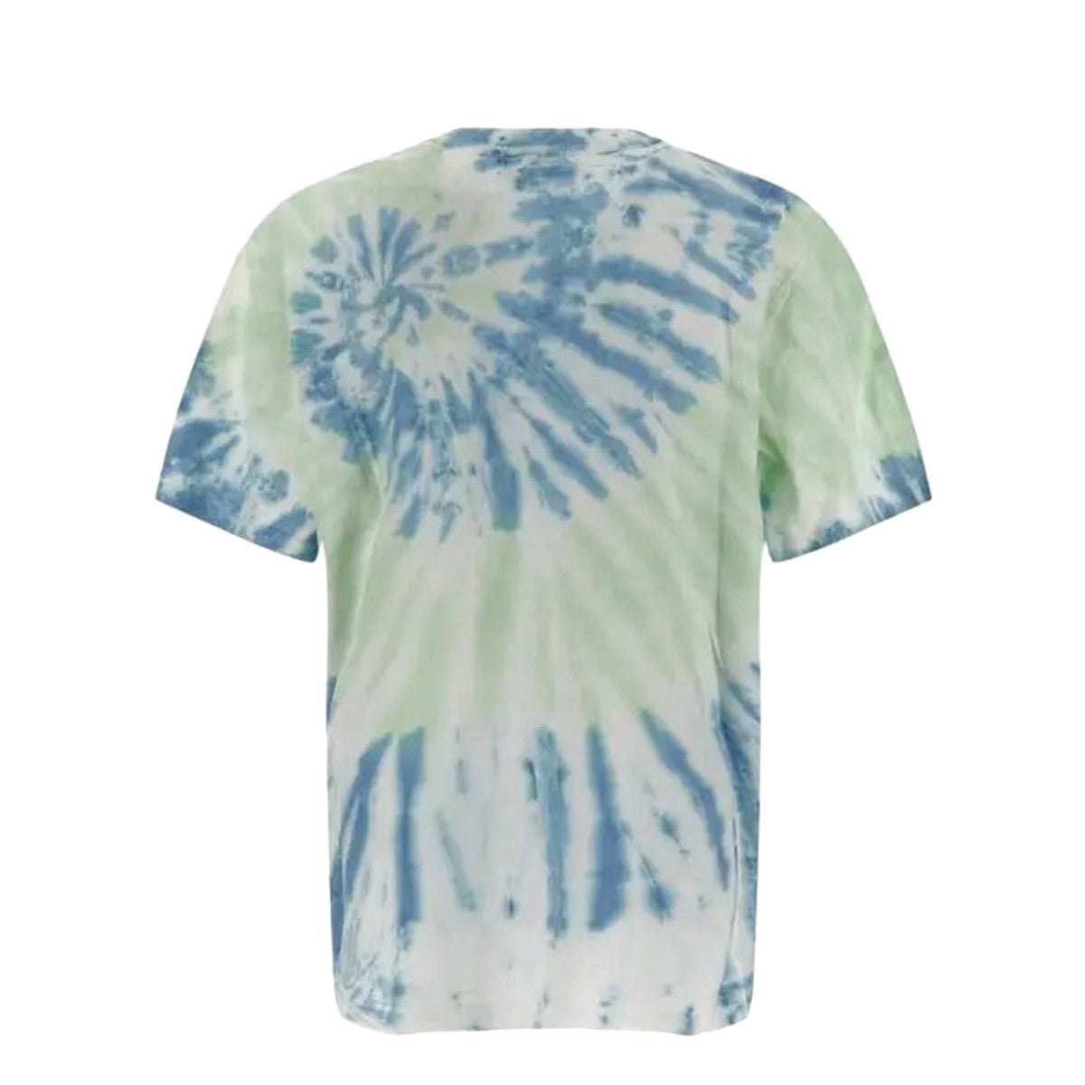 Tee-shirt Dickies SEATAC CELADON