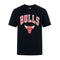Tee-shirt Homme New Era Chicago Bulls