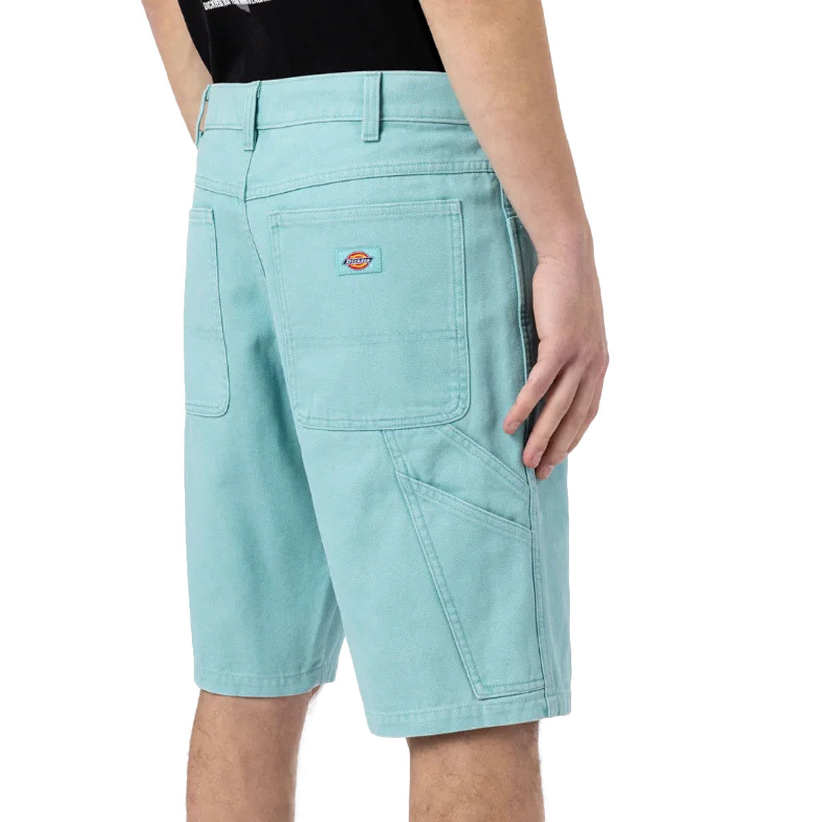 Short Dickies DUCK CANVAS SW