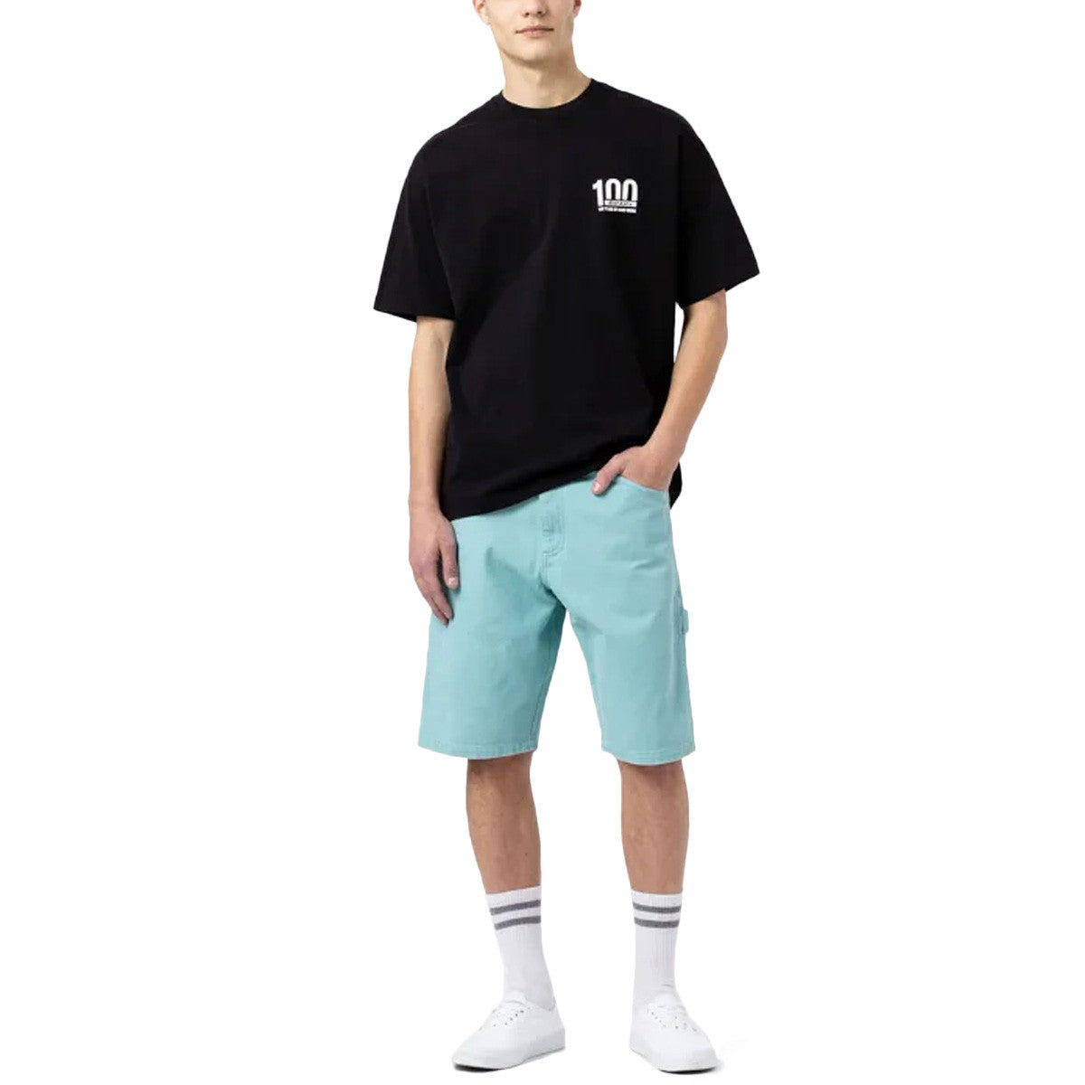 Short Dickies DUCK CANVAS SW