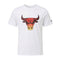 Camiseta New Era CHICAGO BULLS SUMMER CITY