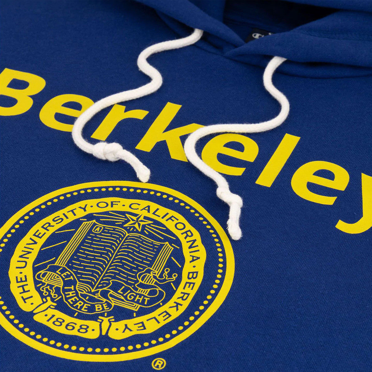 Sweat à capuche Champion