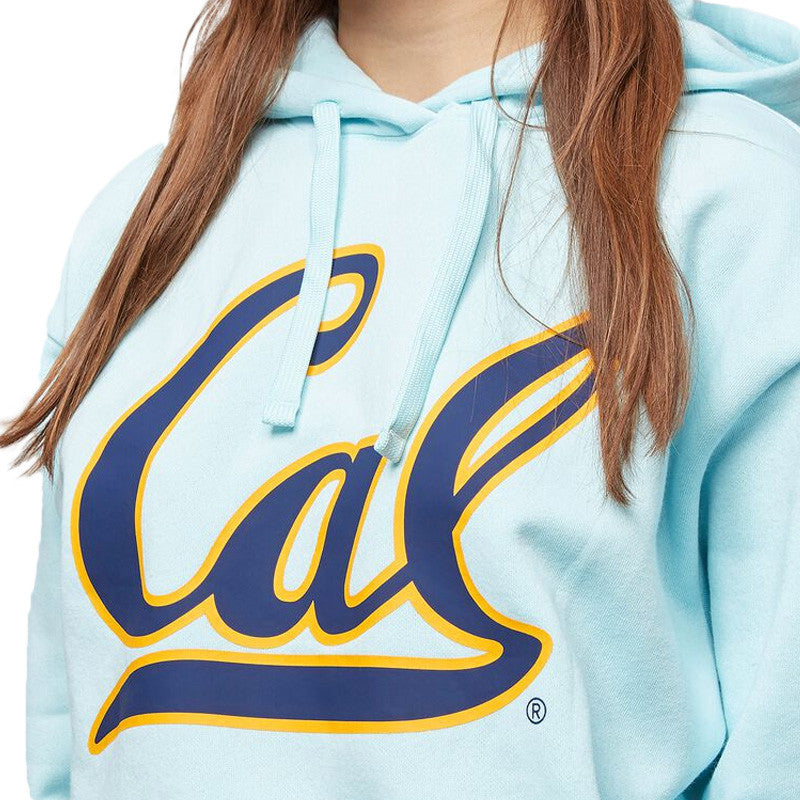 Sweat à capuche Champion