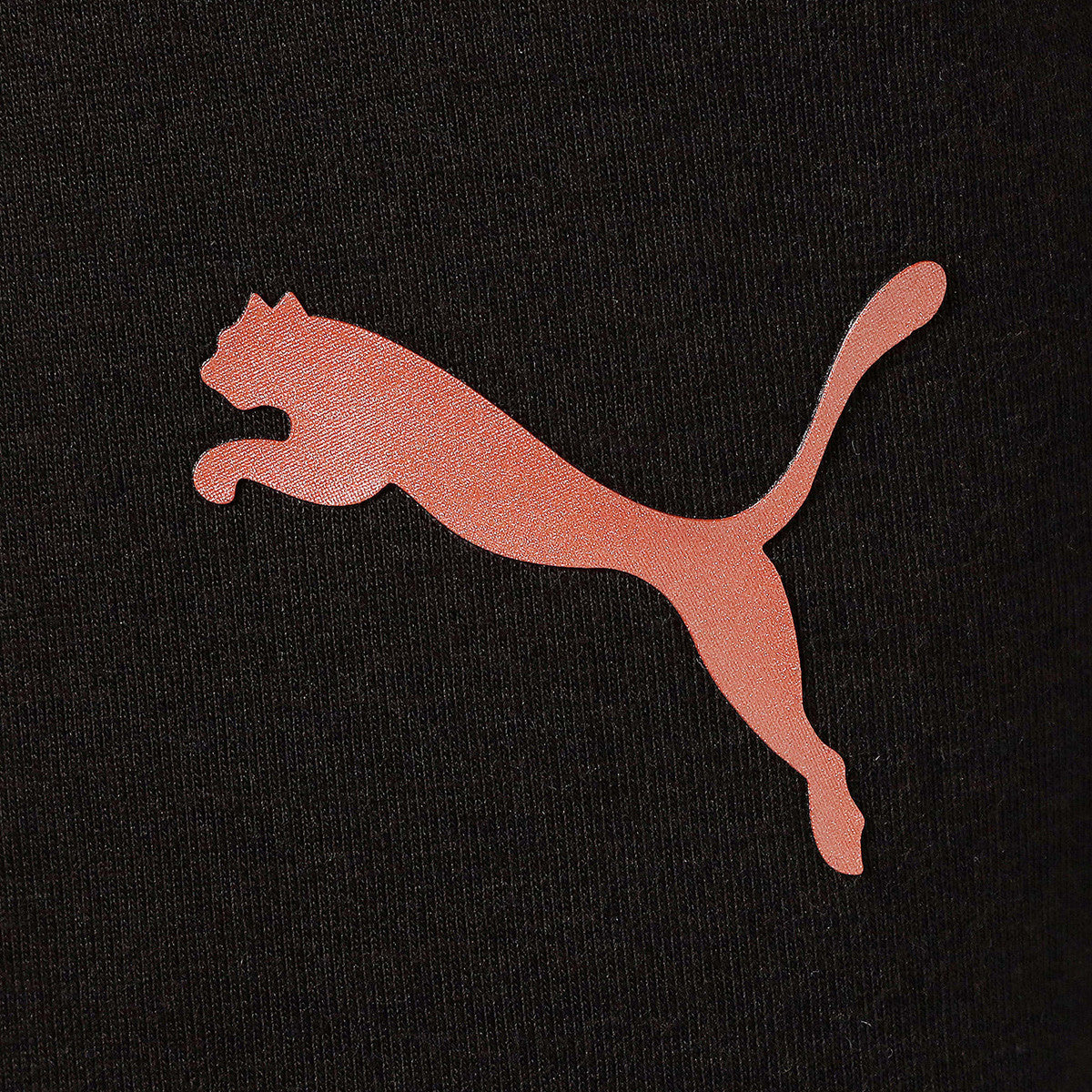 Short de football Puma MANCHESTER CITY EVOSTRIPE