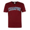 Tee-shirt Champion CREWNECK