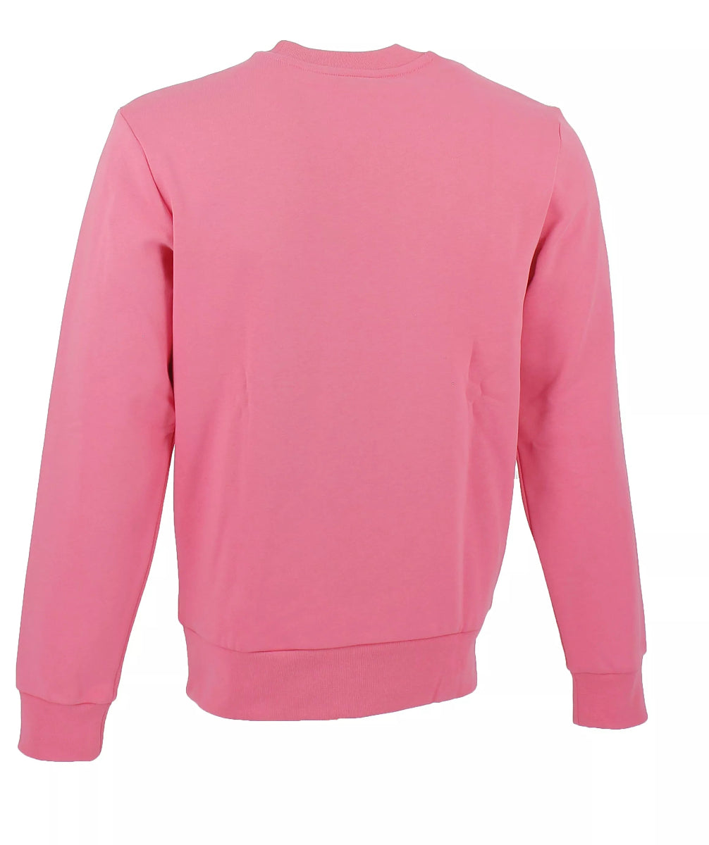Sweat Lacoste