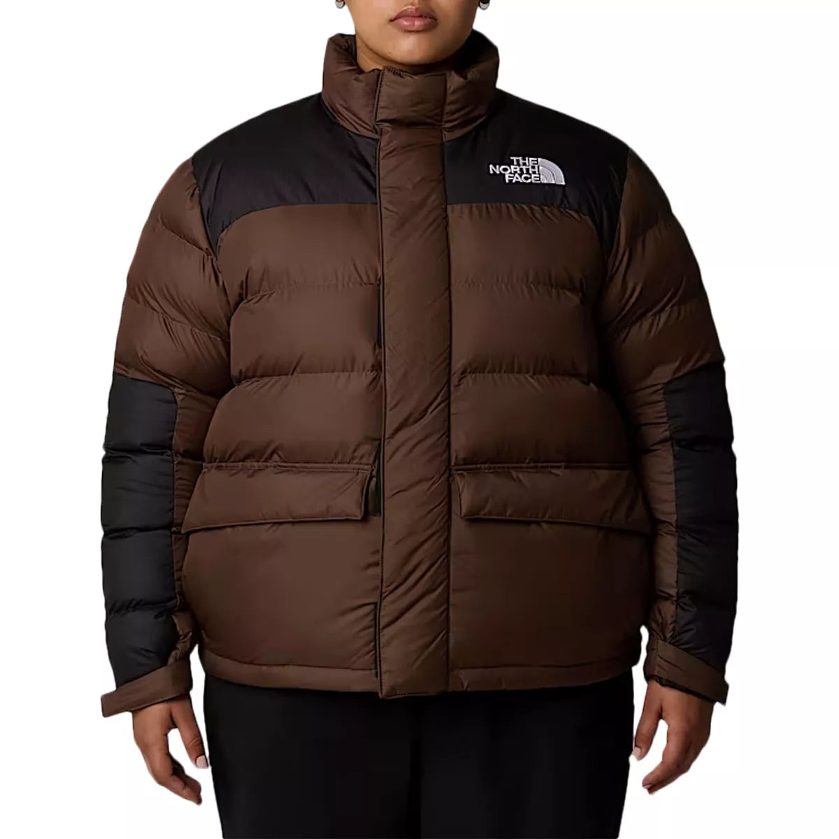 Doudounes The North Face WOMENS PLUS LIMBARA