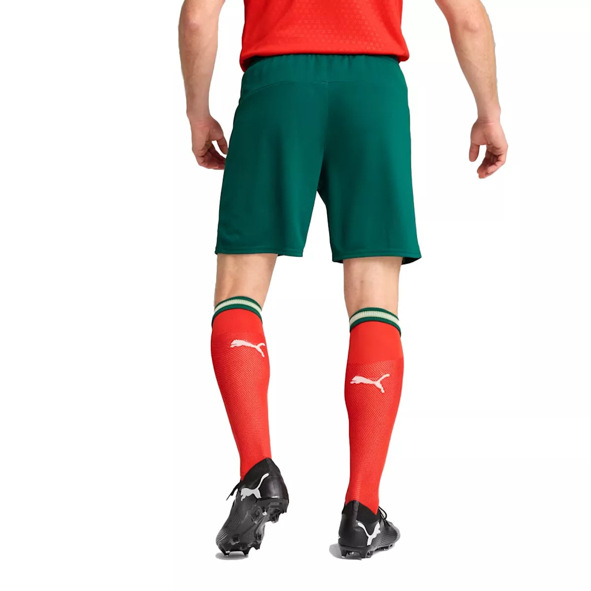 Short Puma Portugal FPF Replica