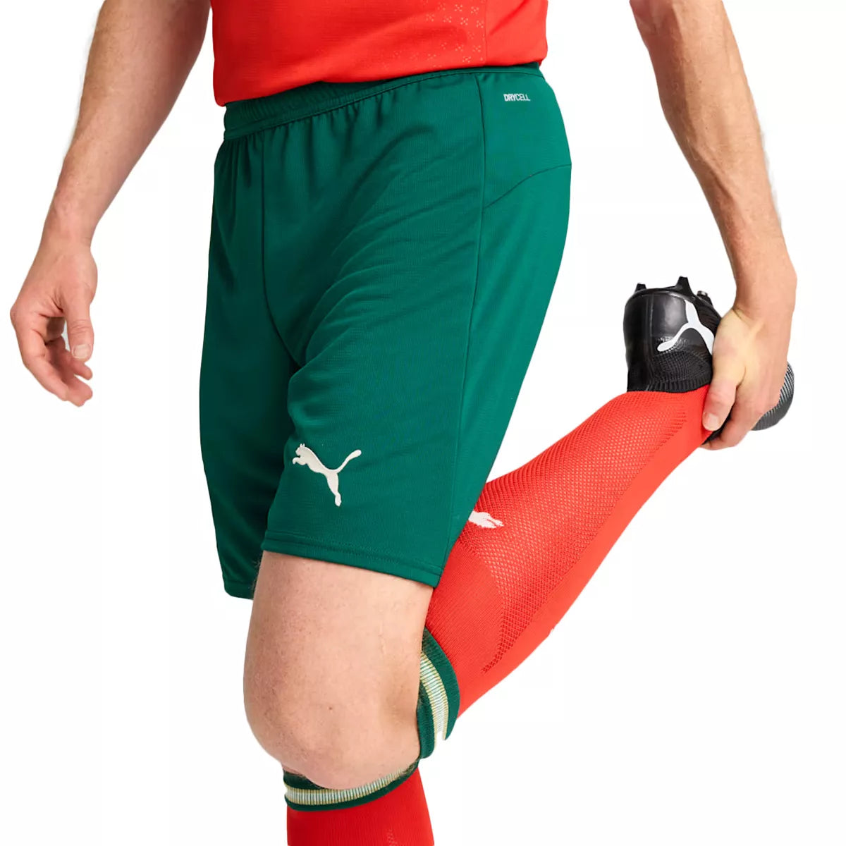 Short Puma Portugal FPF Replica