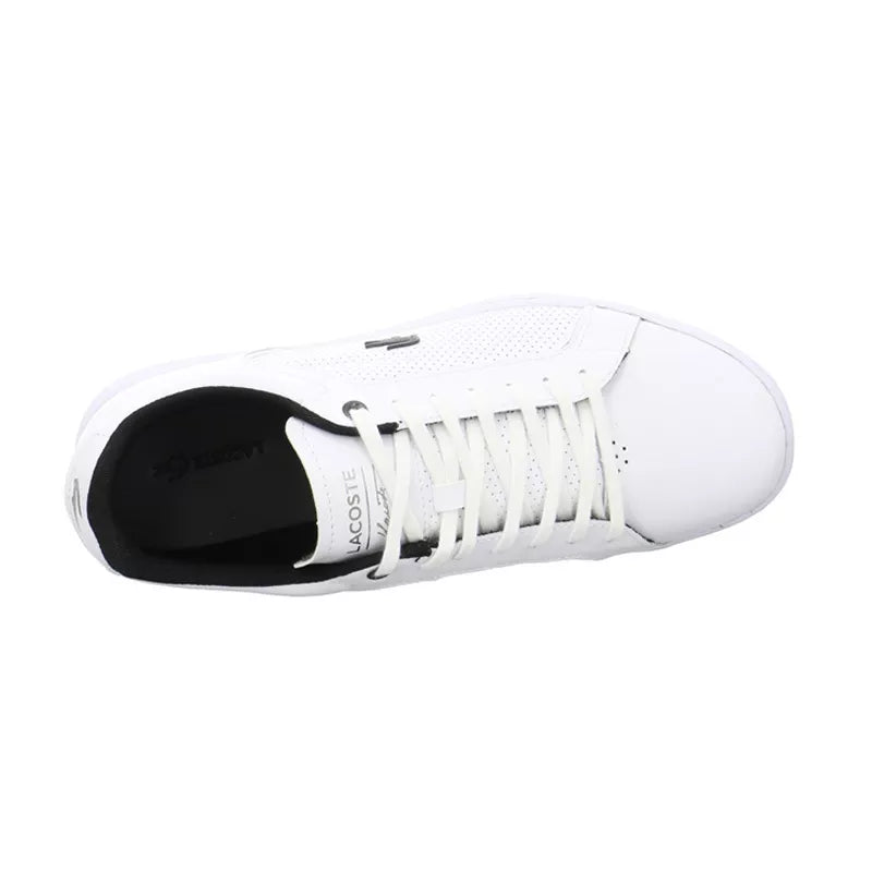Basket Lacoste Carnaby Evo 317 10 SPM