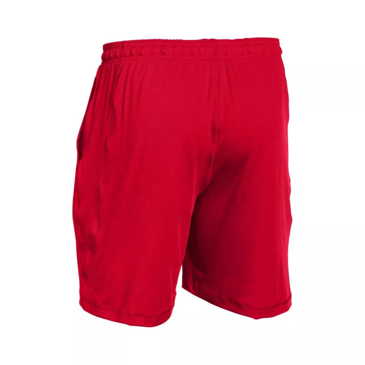 Short Under Armour Raid 8