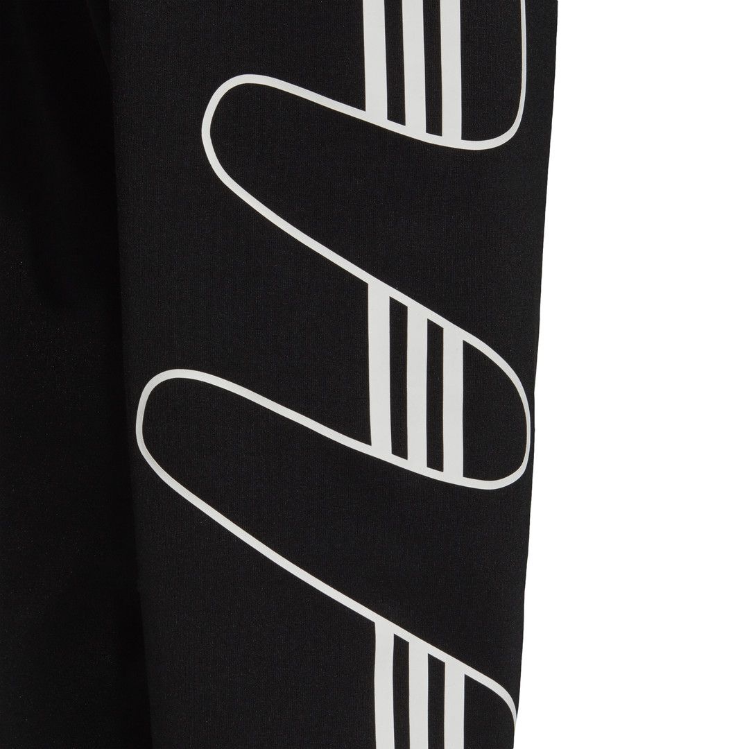 Pantalons de survêtement adidas Originals FSTRIKE PANT