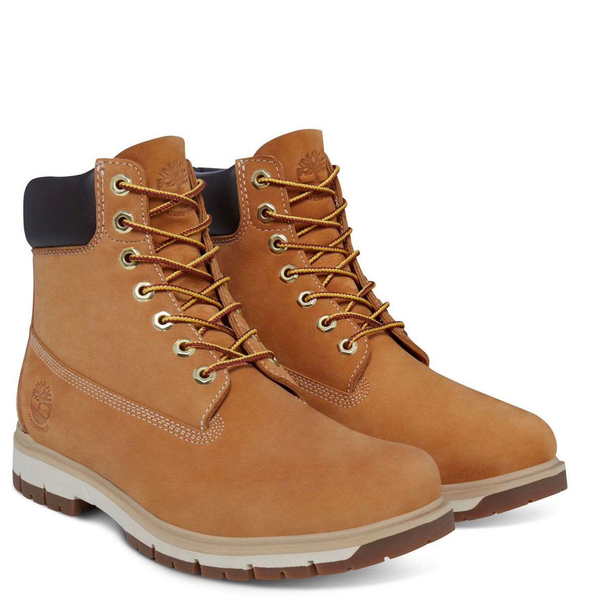 Boots Timberland 6 INCH BOOT RADFORD