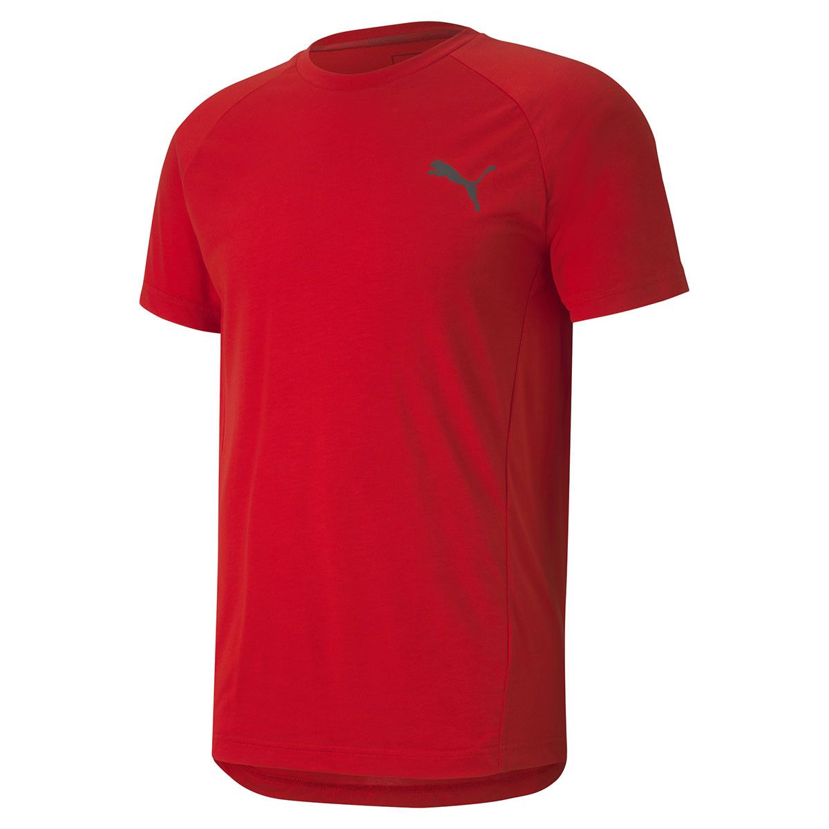 Tee-shirt Puma FD EVOST TEE