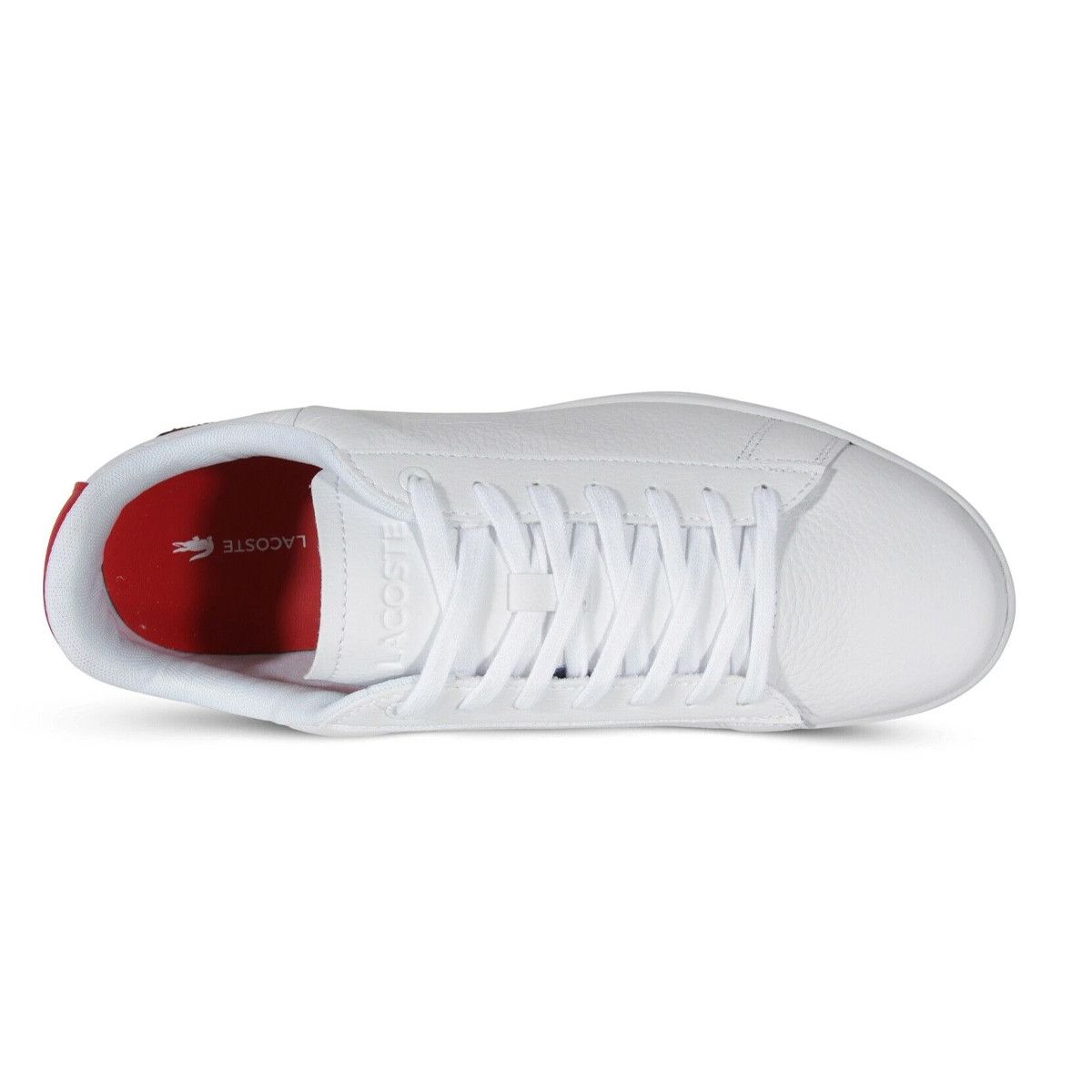 Baskets Lacoste CARNABY EVO 120