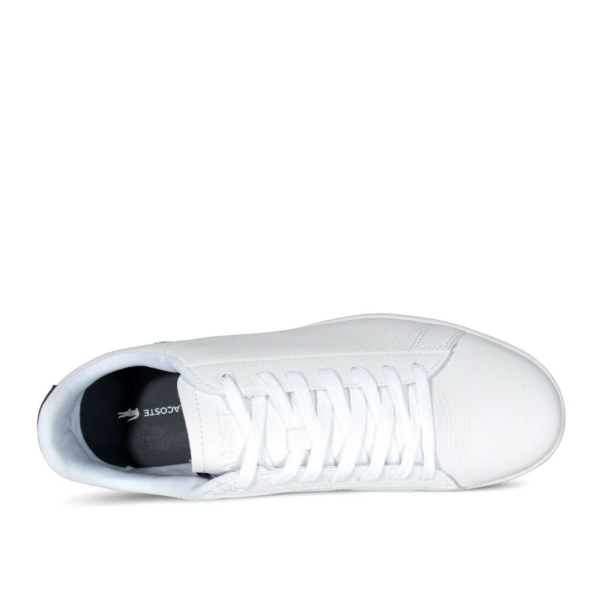 Baskets Lacoste CARNABY EVO 120
