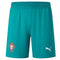 Short Homme Puma FPF REPLICA