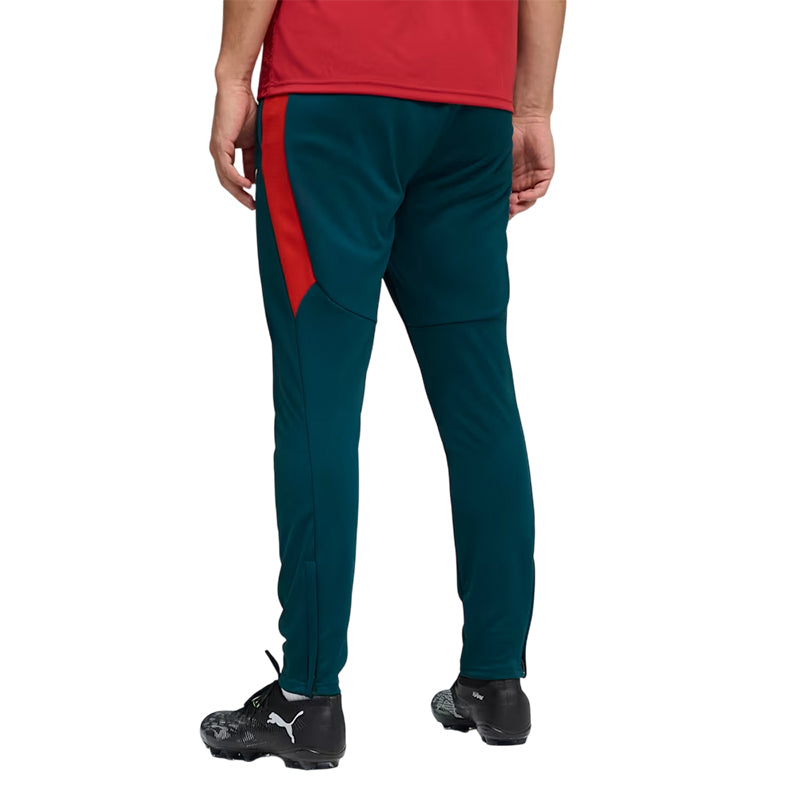 Pantalon de survêtement Puma Portugal FPF PUMATECH