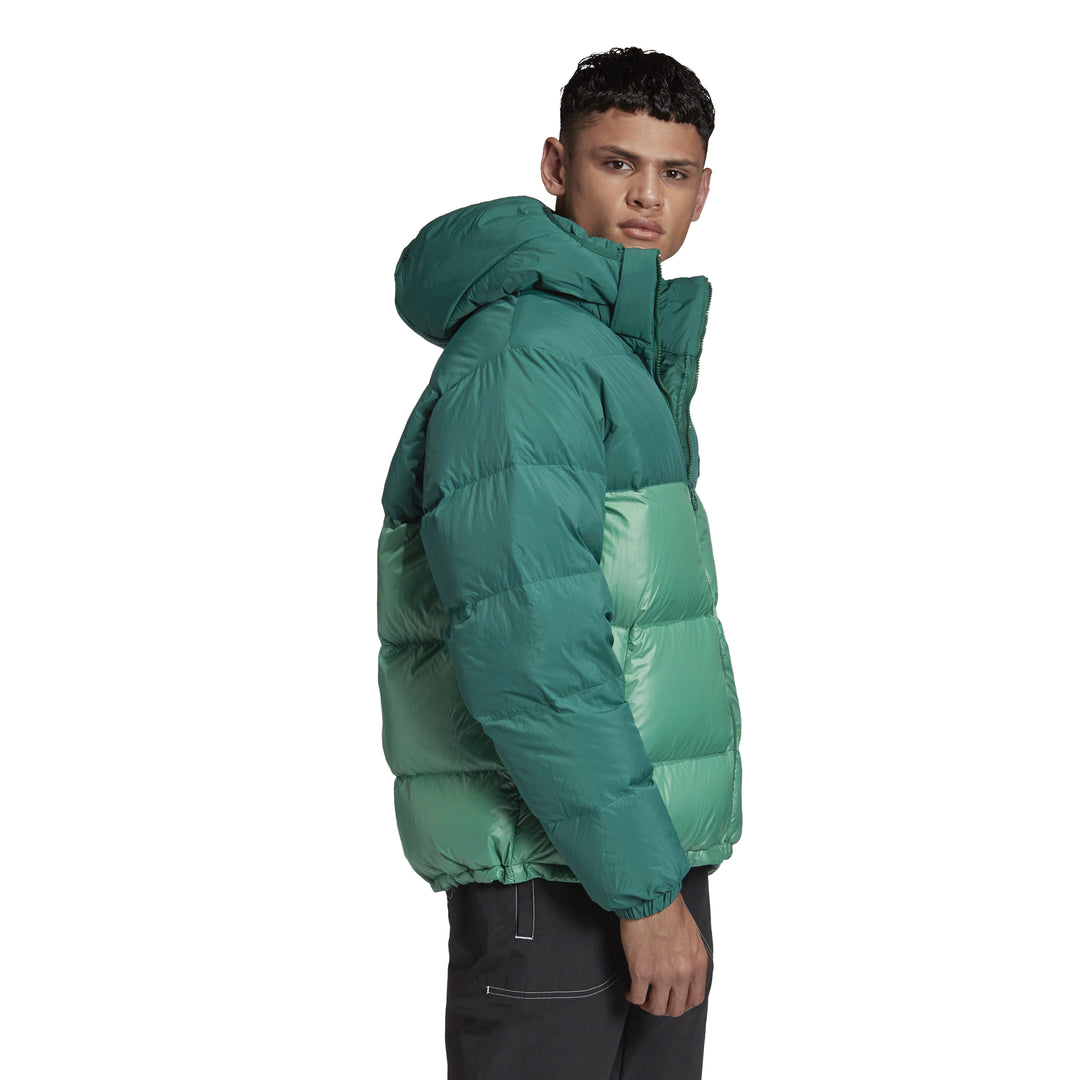 Doudoune adidas Originals DOWN REGEN HOODED BLOCKED PUFFER
