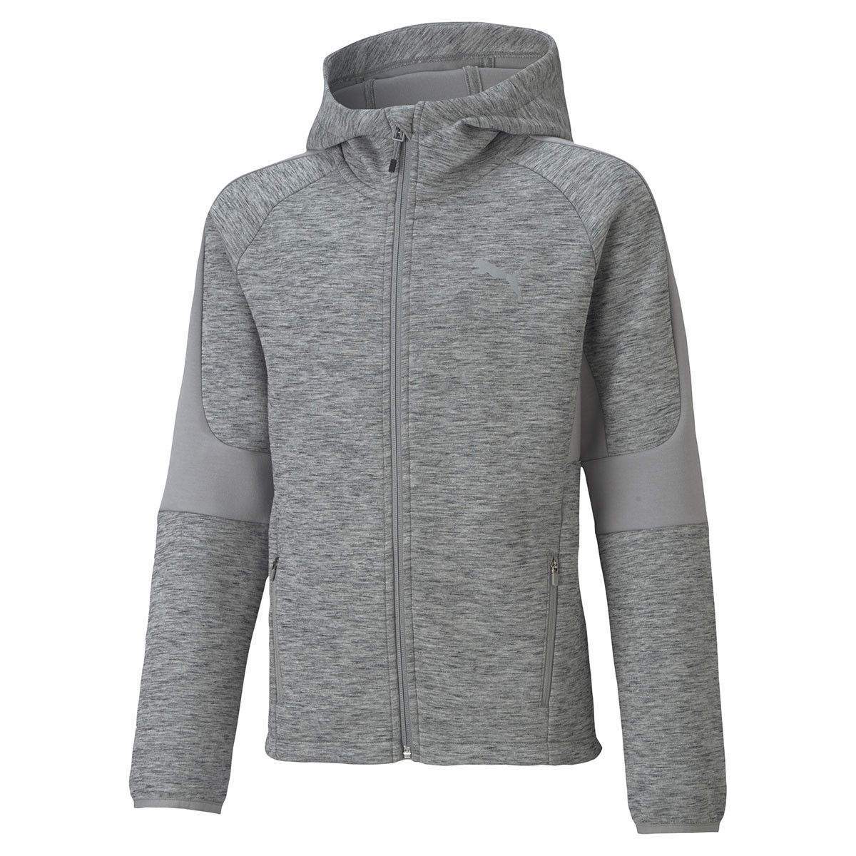 Sweat à capuche Puma EVOSTRIPE FULL-ZIP Junior