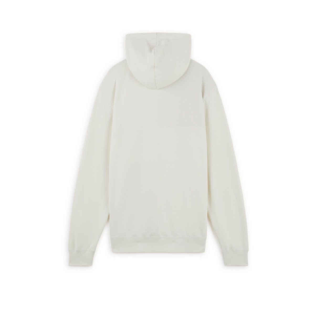 Sweat Puma PAISLEY HOODY