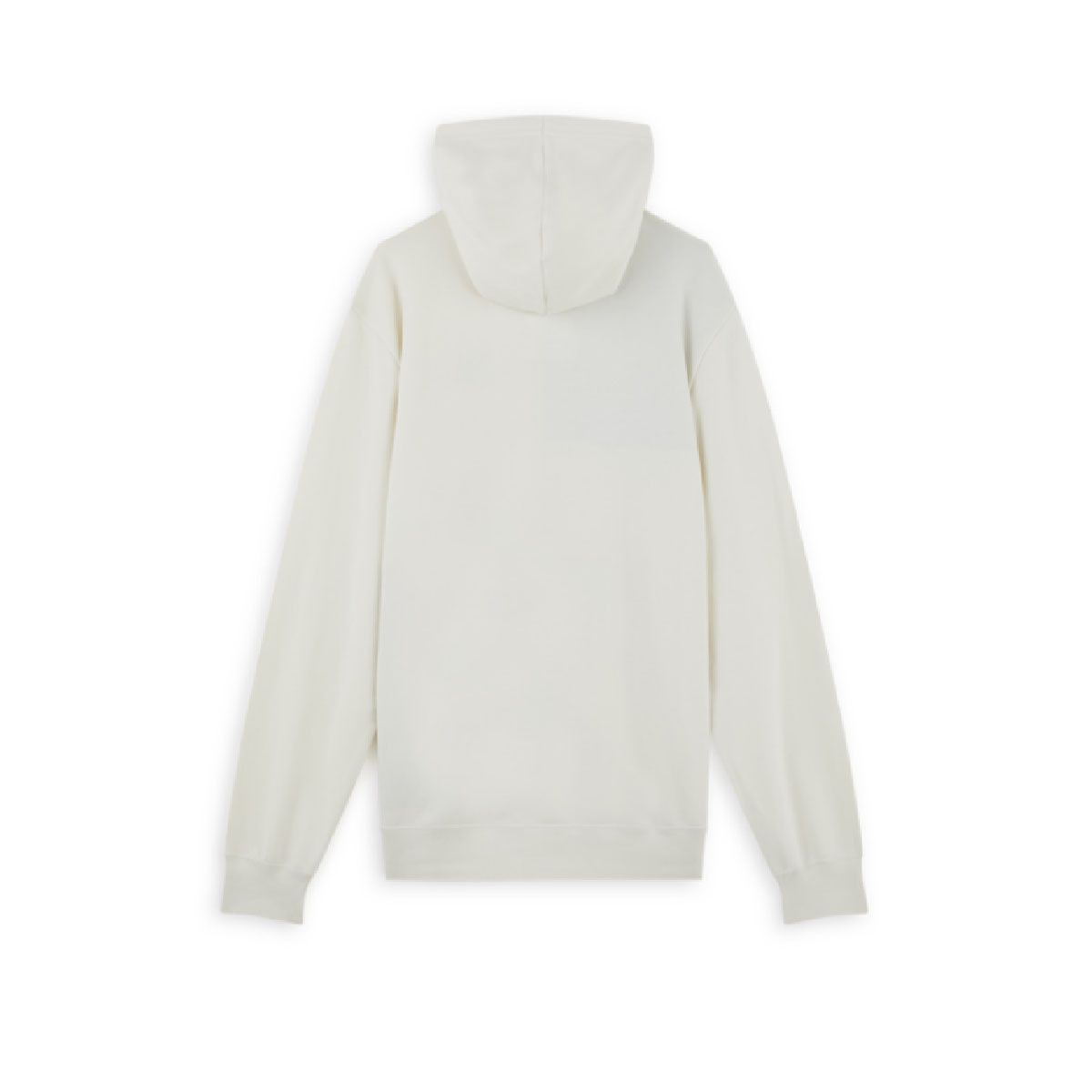 Sweat Puma FD PAISLEY HOODY