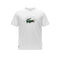 Tee-shirt Lacoste Junior