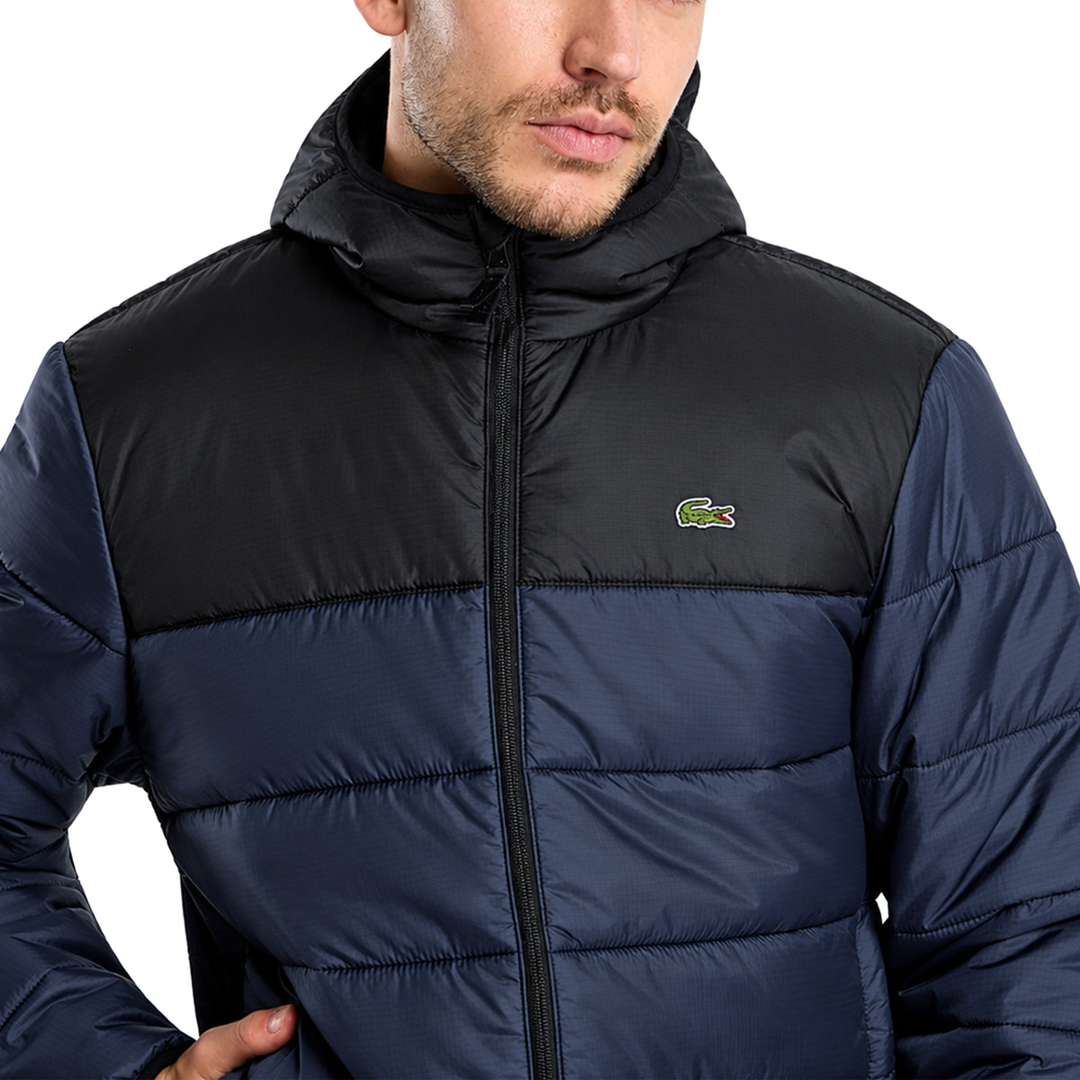Doudoune à Capuche Homme Lacoste