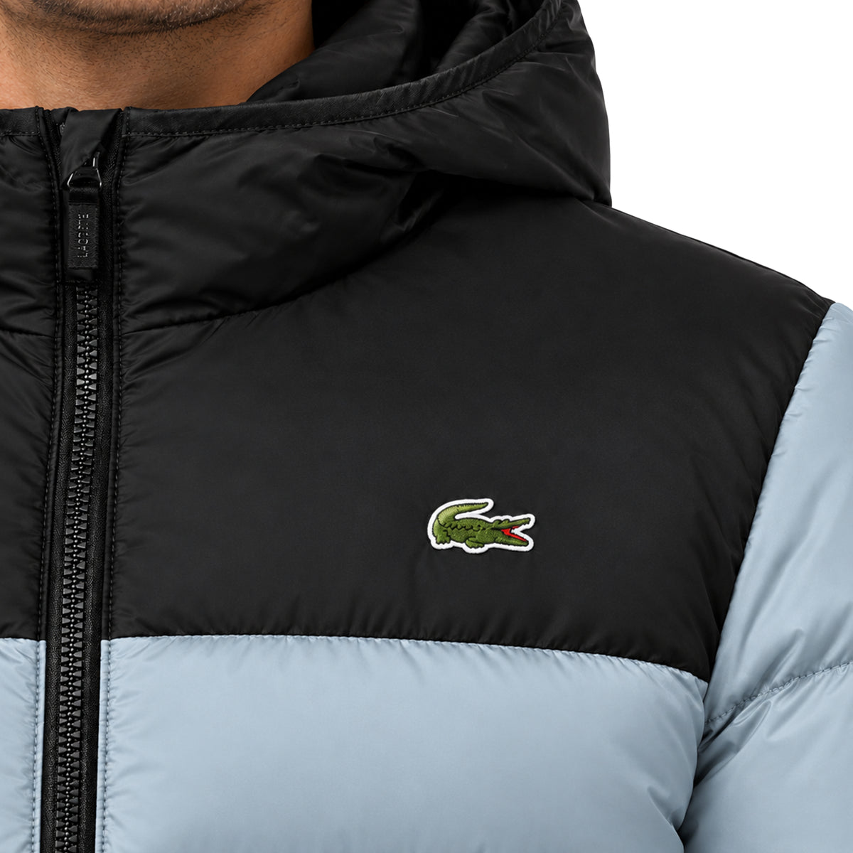 Doudoune à Capuche Homme Lacoste