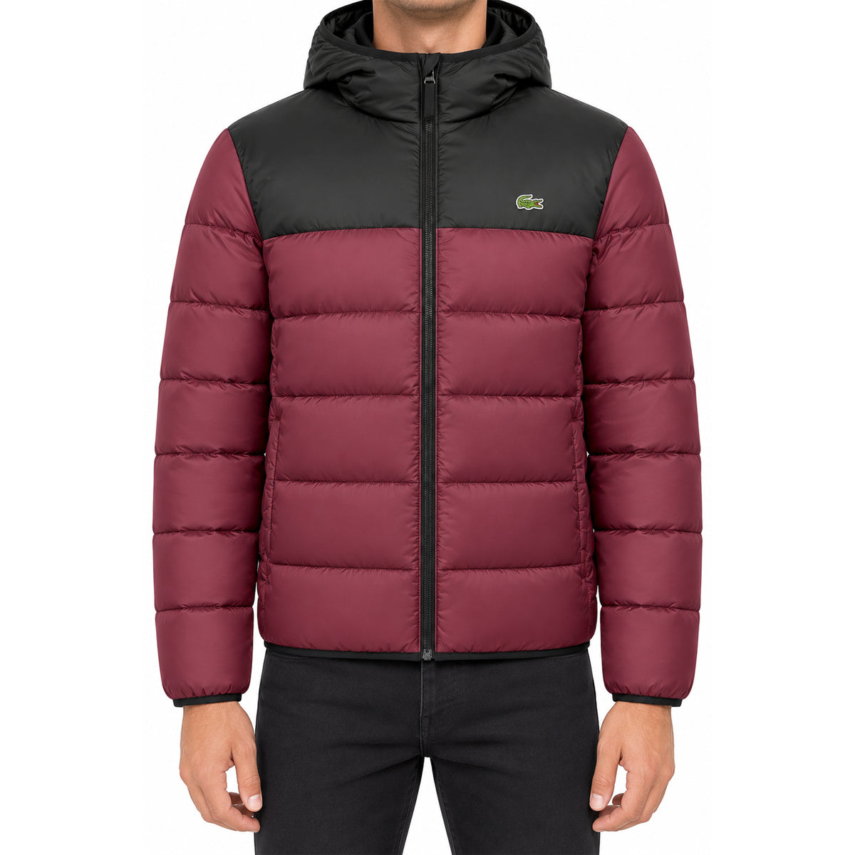 Doudoune à Capuche Homme Lacoste