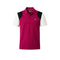 Polo Homme Lacoste