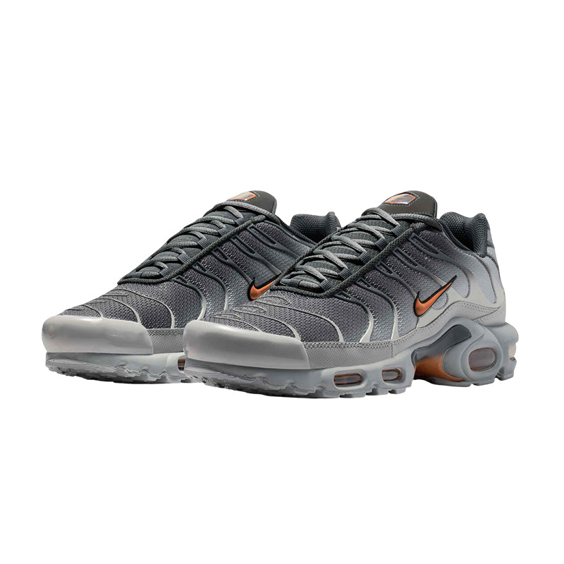 Basket Homme Nike TN AIR MAX PLUS
