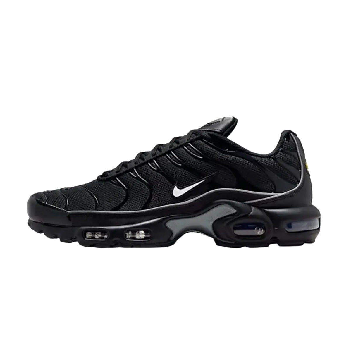 Basket Homme Nike AIR MAX PLUS TN