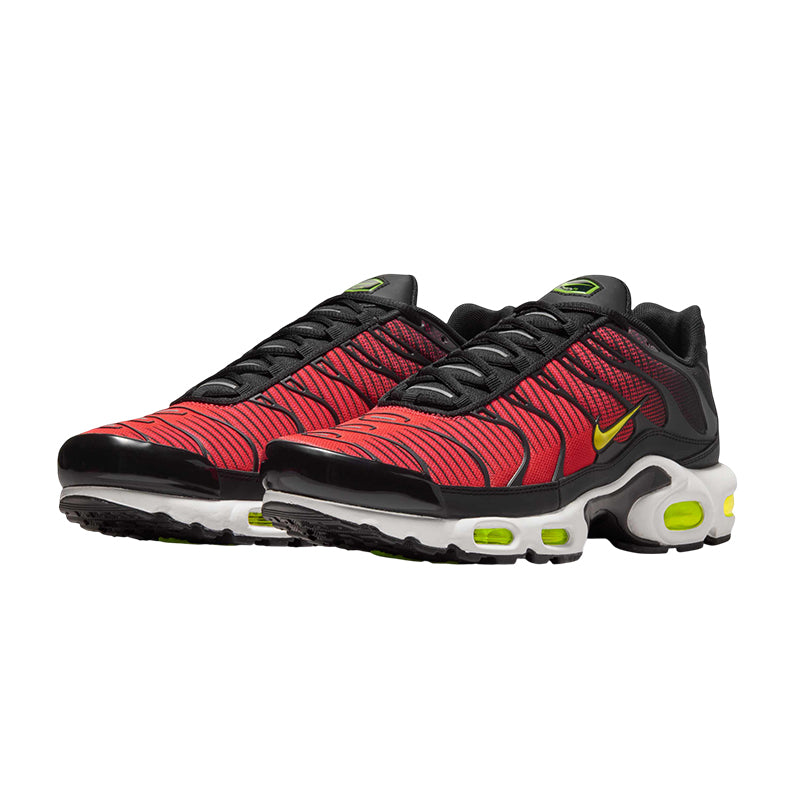 Basket Homme Nike AIR MAX PLUS TN