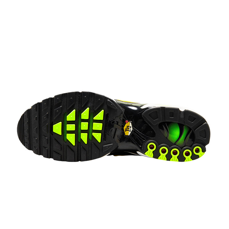Basket Homme Nike AIR MAX PLUS TN