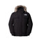 Blouson Homme The North Face MCMURDO