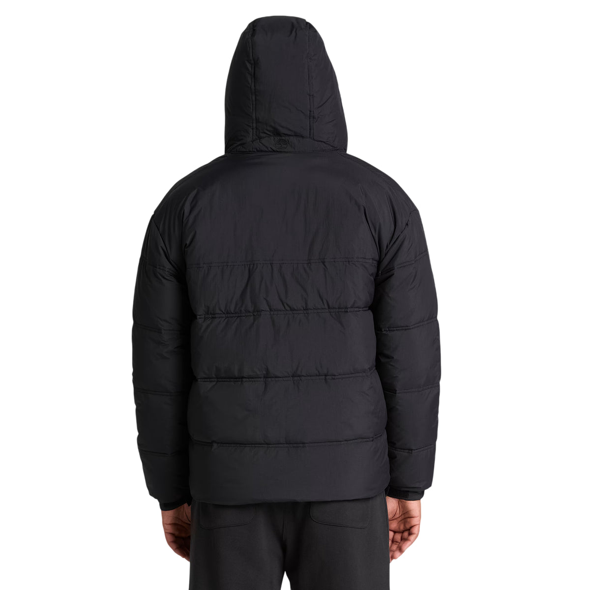 Doudoune déperlante Homme Timberland