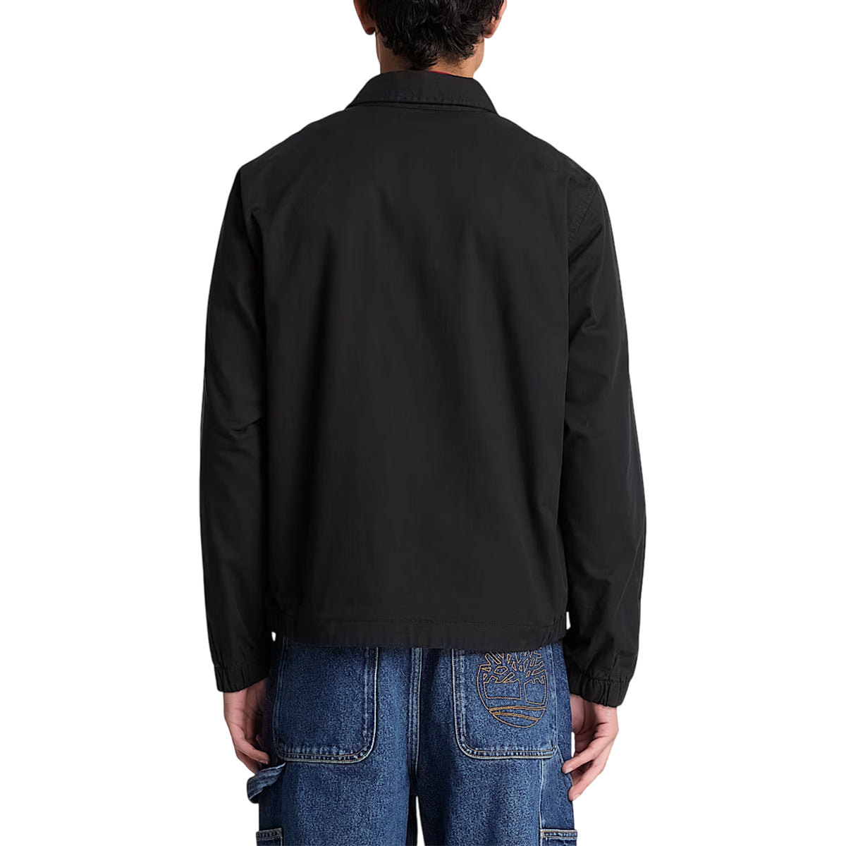 Bomber Homme Timberland STRATHAM