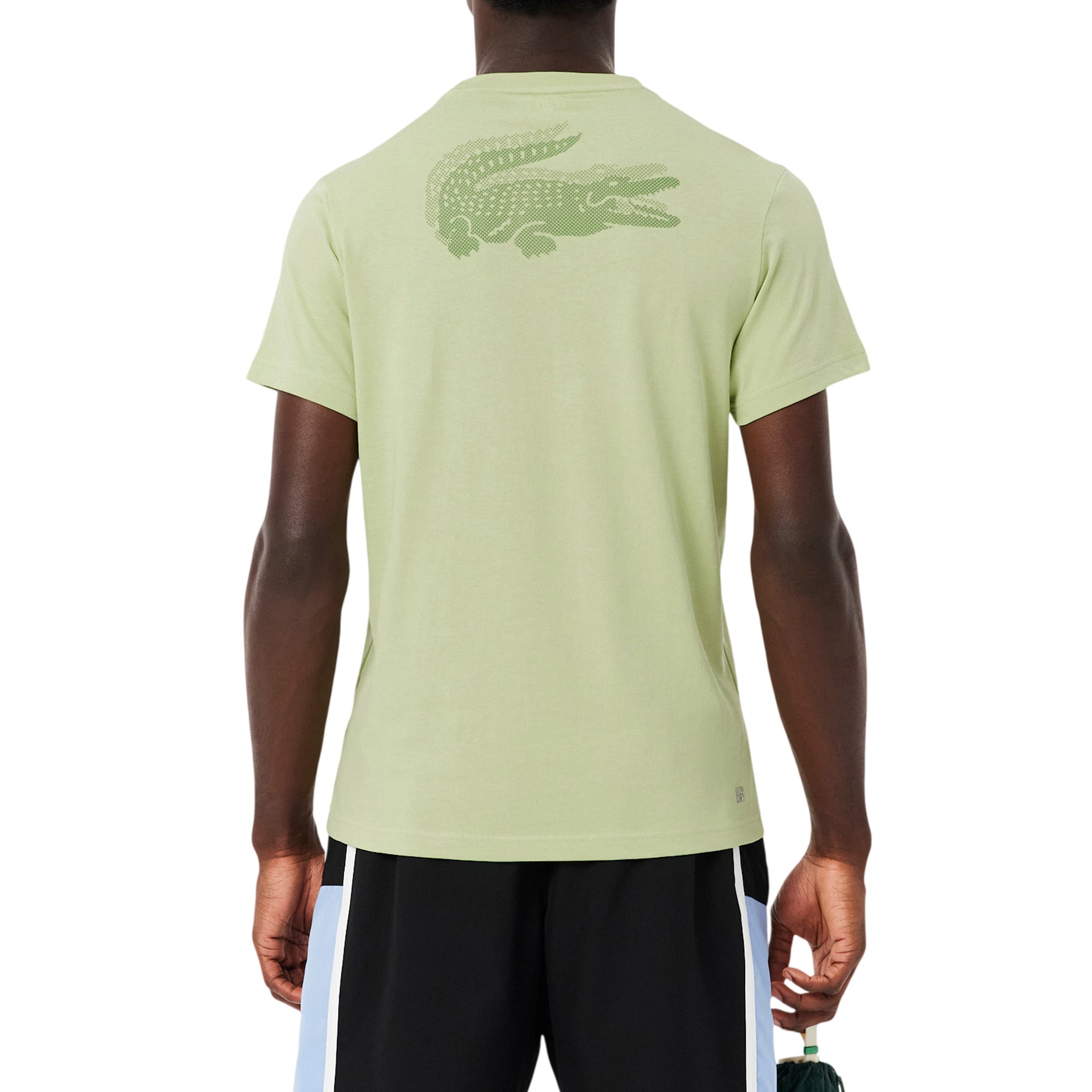 Tee-shirt Homme Lacoste