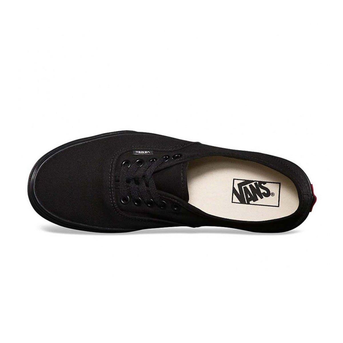 Basket Homme Vans AUTHENTIC LOW