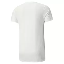 Tee-shirt Puma FD Evostripe