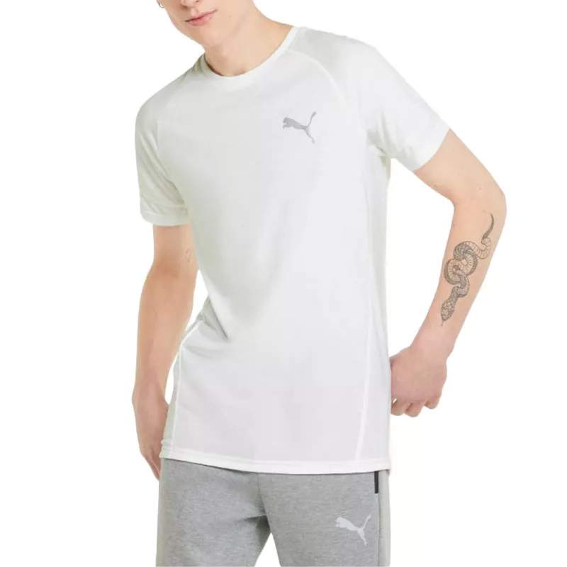 Tee-shirt Puma FD Evostripe