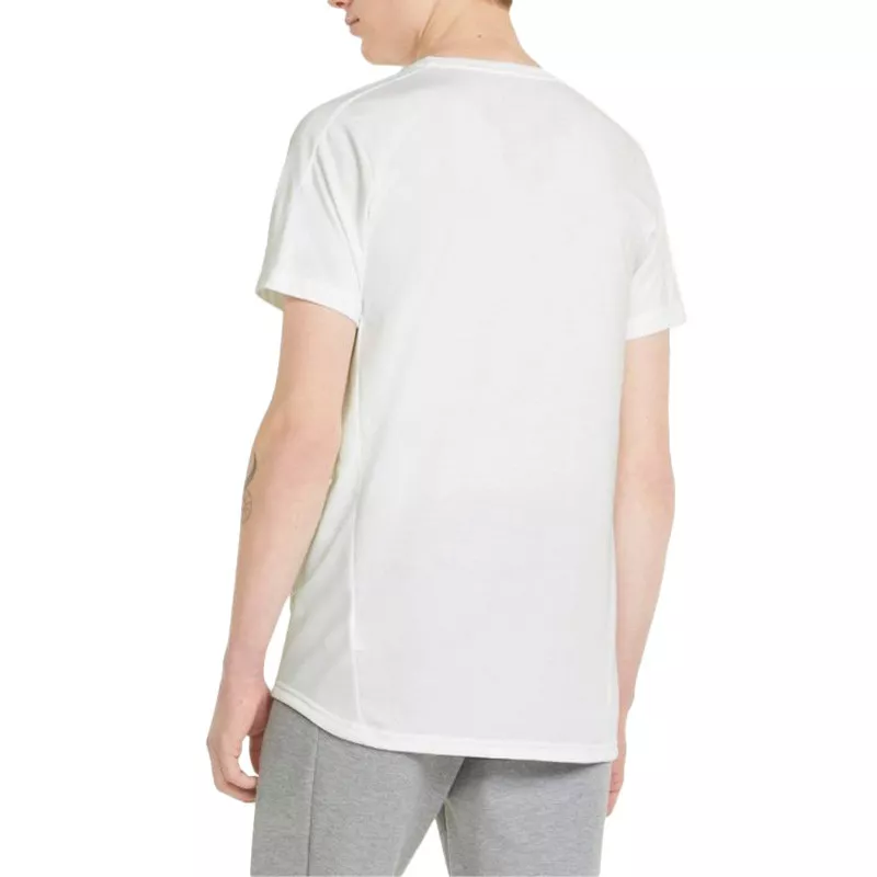 Tee-shirt Puma FD Evostripe
