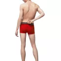 Pack de 3 boxers Lacoste