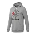 Sweat à capuche  Reebok F STAR