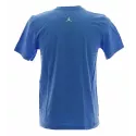 Tee-shirt Nike Jordan Fading Flight - Ref. 465122-412